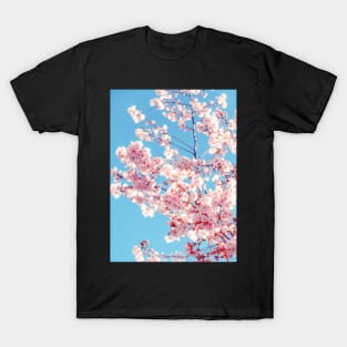 Pink Cherry Blossom T-Shirt